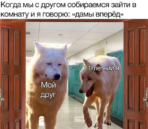 Дамы вперёд в комнату