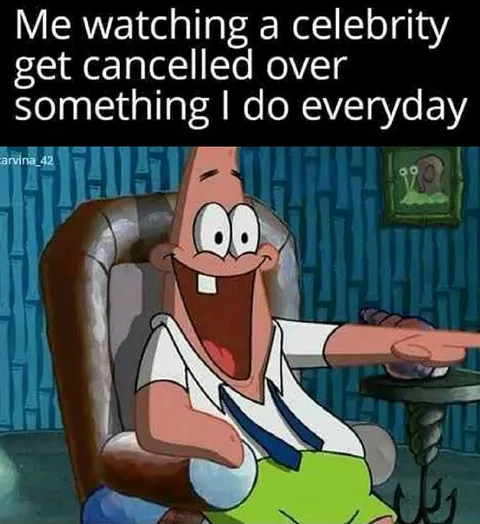 Celebrity Cancelled for Everyday Behavior