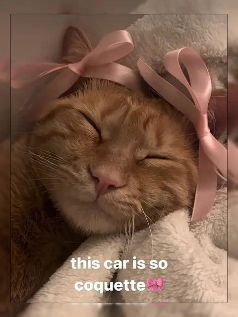 This Car Is So Coquette