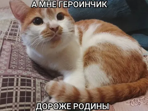 Героинчик дороже Родины