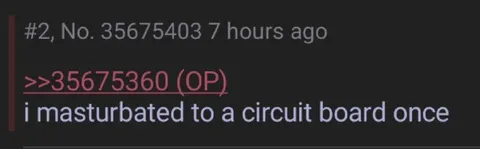 Masturbated to a Circuit Board