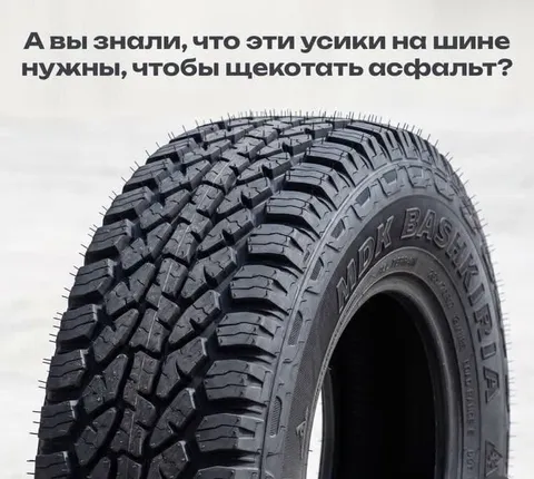 Усики на шине щекочут асфальт