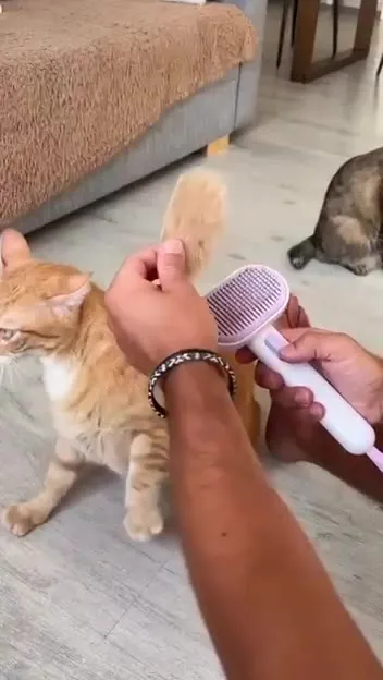 Vans Cat Hat Tutorial