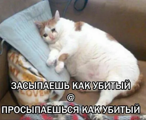 Засыпаешь и просыпаешься как убитый