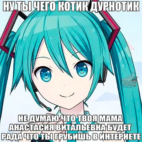 Котик дурнотик грубит в интернете