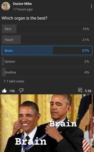 Brain Is the Best Organ