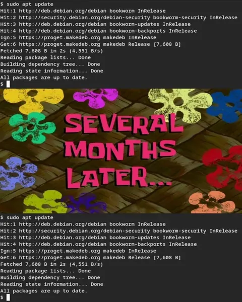 Several Months Later Update