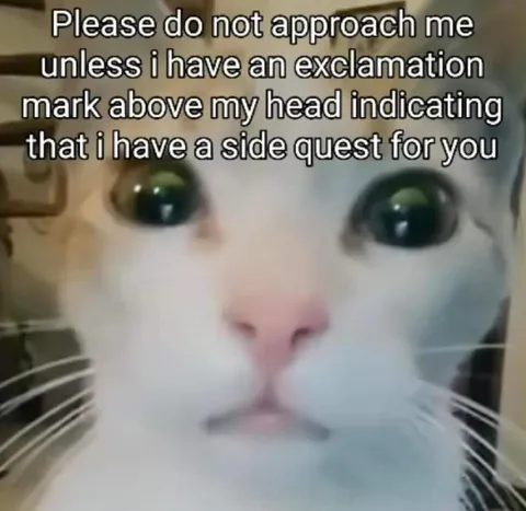 Cat With a Side Quest