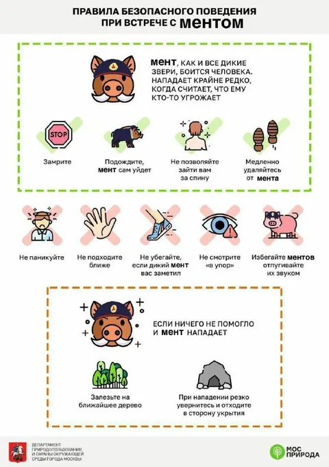 Правила встречи с ментом