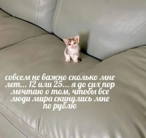 Мечтаю о рубле от каждого
