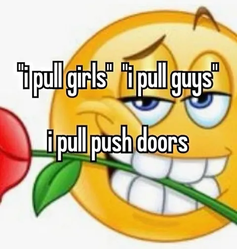 I Pull Push Doors