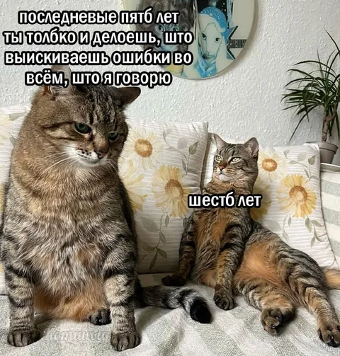 Последние пять лет против шести лет