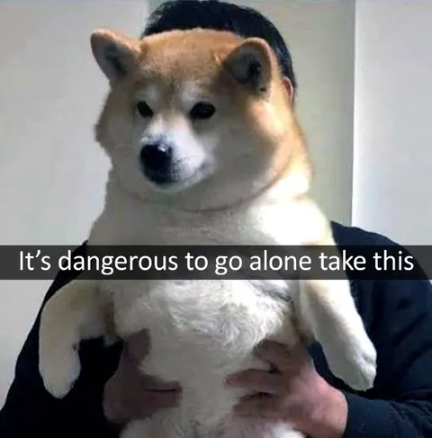 Dangerous to Go Alone Dog