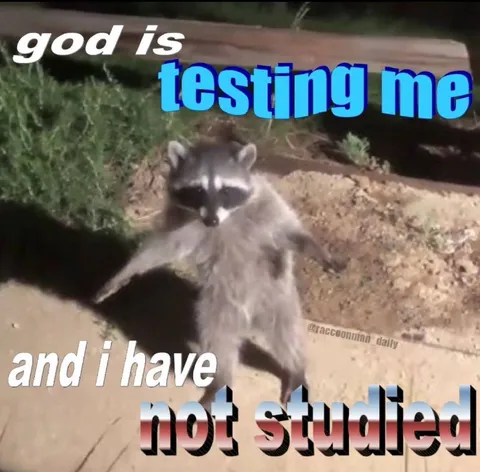 Raccoon Failed the Test