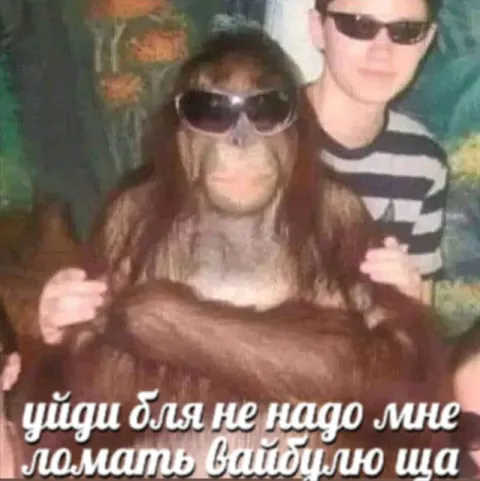 Уйди бля не надо мне ломать вайцблу
