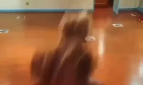 Безумный танец под музыку