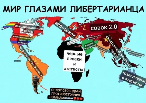 Мир глазами либертарианца