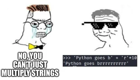 You Can't Multiply Strings