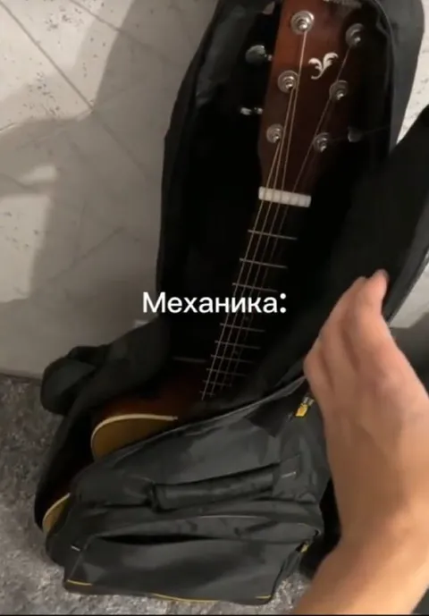 Механика в чехле