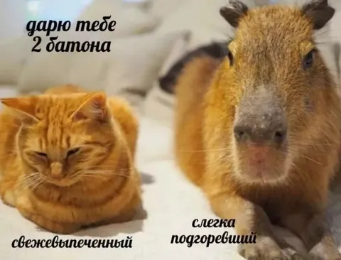 Два батона: свежий и подгоревший