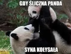 Śliczna panda kołysząca syna