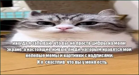 Счастлив, что вы у меня есть