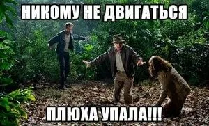 Плюха упала в джунглях