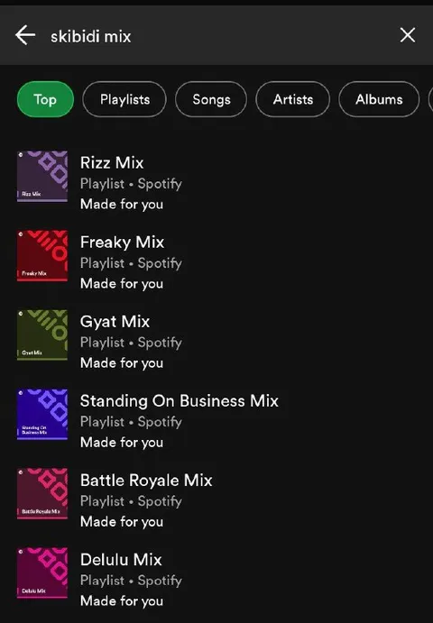 Spotify Skibidi Mix Results