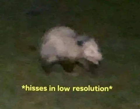 Hisses in Low Resolution