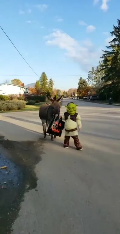 Шрек и Осёл идут по улице