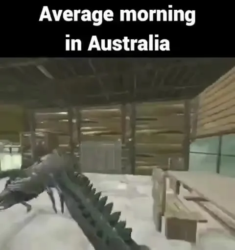 Average Morning in Australia