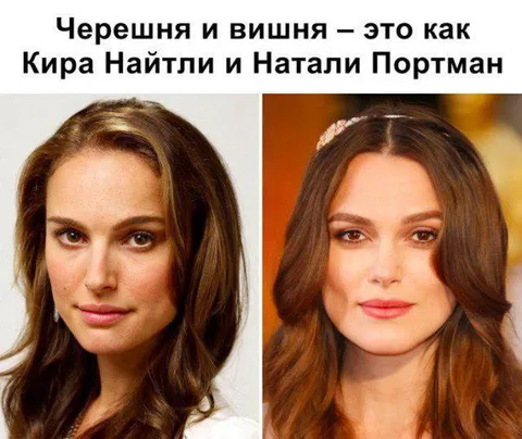Черешня и вишня как Кира и Натали