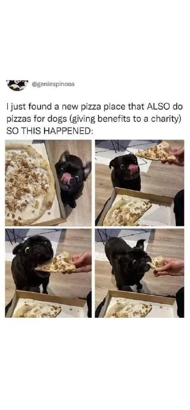 Dog Discovers Pizza