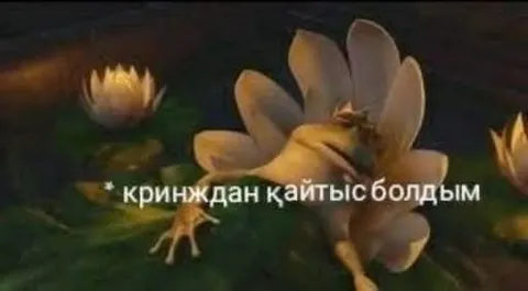 Кринждан қайтып болдым