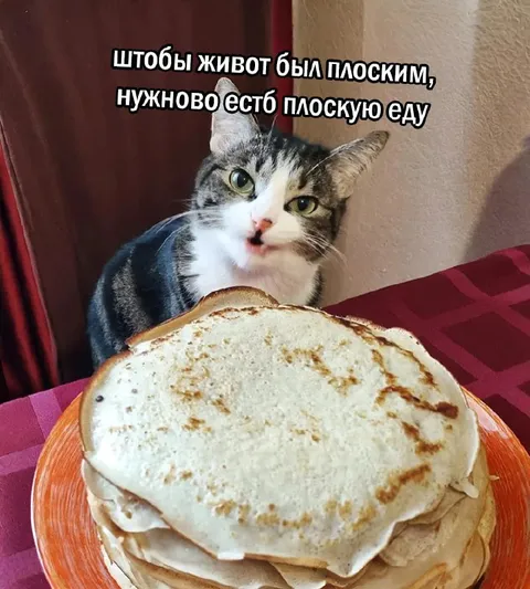 Плоский живот и плоская еда
