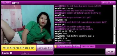 Linux Kernel Flirting Chat