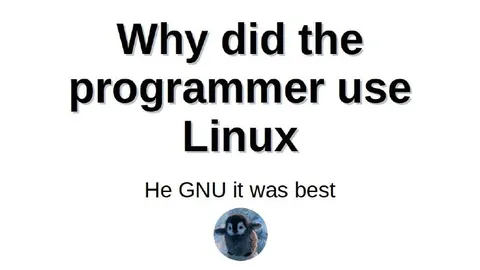 Why Did the Programmer Use Linux