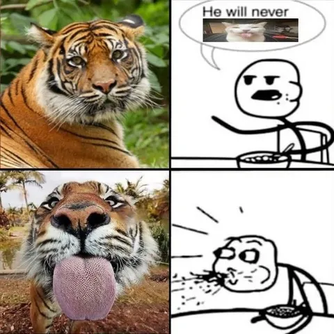 He Will Never Lick It