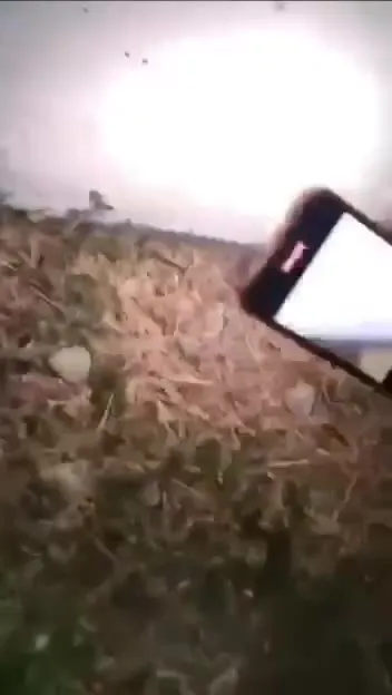 Крыса, которую не заметили