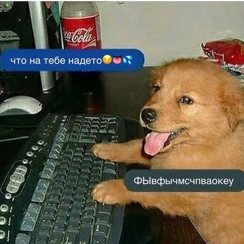 Что на тебе надето