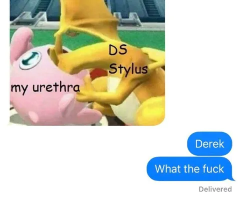 DS Stylus in My Urethra