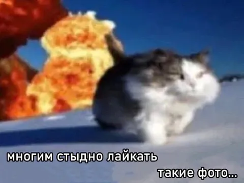 Многим стыдно лайкать такие фото