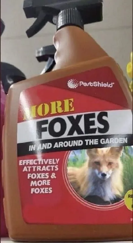 More Foxes Attract More Foxes