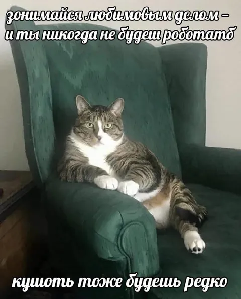 Занимайся любимым делом