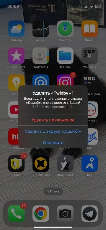 Удалить Twinby с айфона