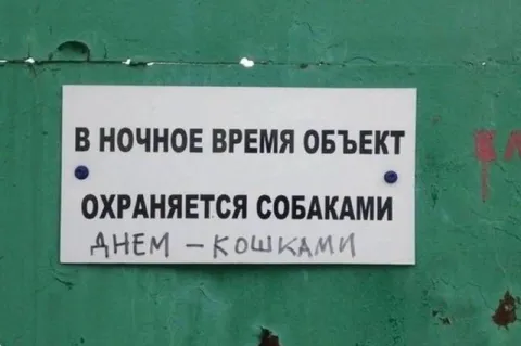 Днём охраняется кошками