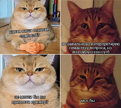 Главная слабость кота