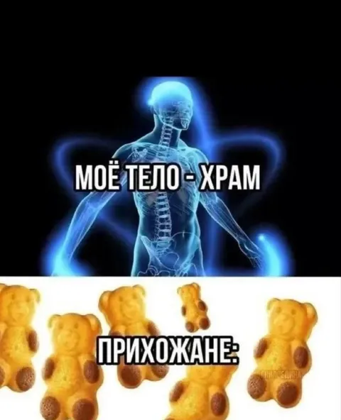 Моё тело — храм, прихожане — мишки