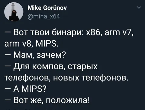 Мам, зачем MIPS?