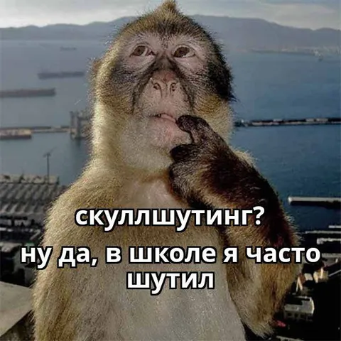 Скуллшутинг в школе